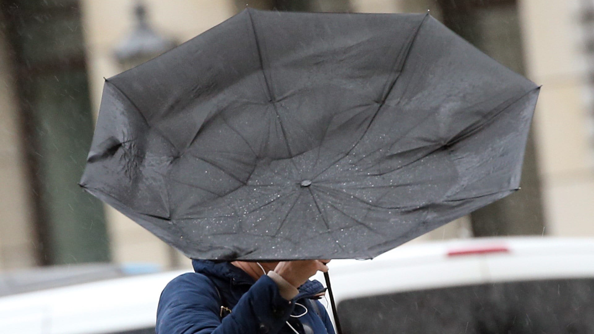 Sturm in RLP: Schäden durch entwurzelte Bäume