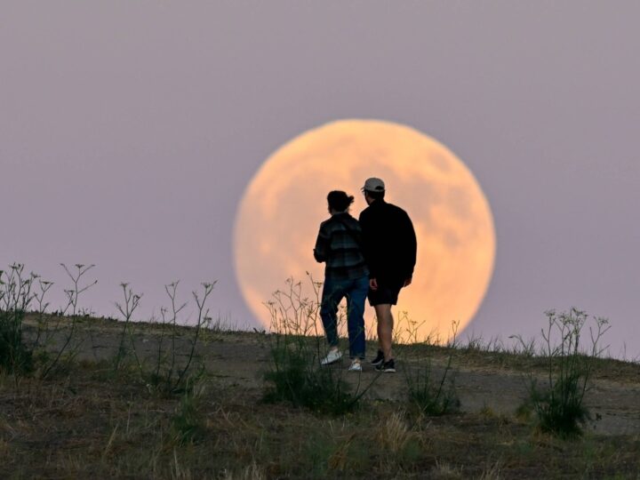 Herzlich willkommen, erster Supermond des Jahres!