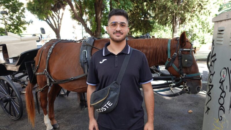 Die Höllenqualen der Pferde: So verteidigt ein Palma-Kutscher sein gehasstes Gewerbe