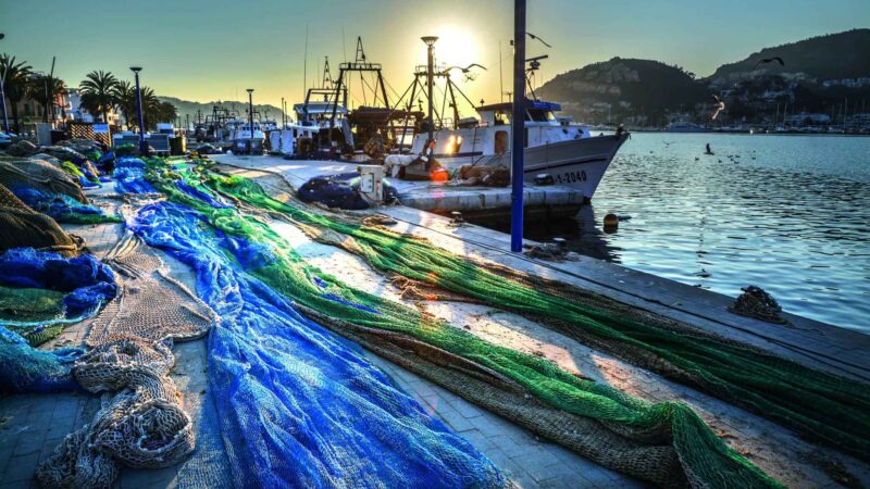 „Die Magie des Unentdeckten”: So haben Sie Mallorca vielleicht noch nie gesehen?!