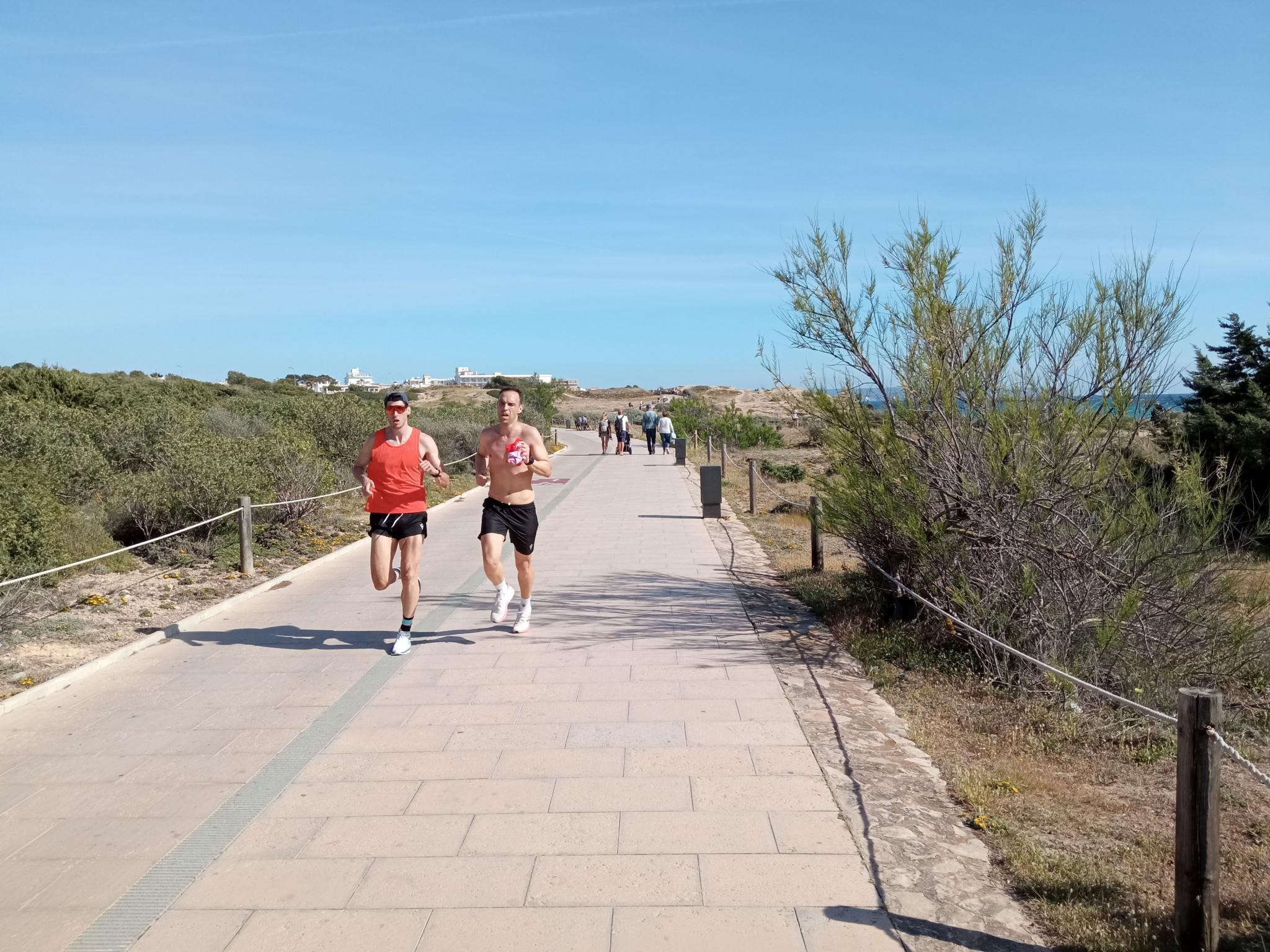 Palma startet Sanierung von Es Carnatge: Naturraum nahe Flughafen soll aufblühen