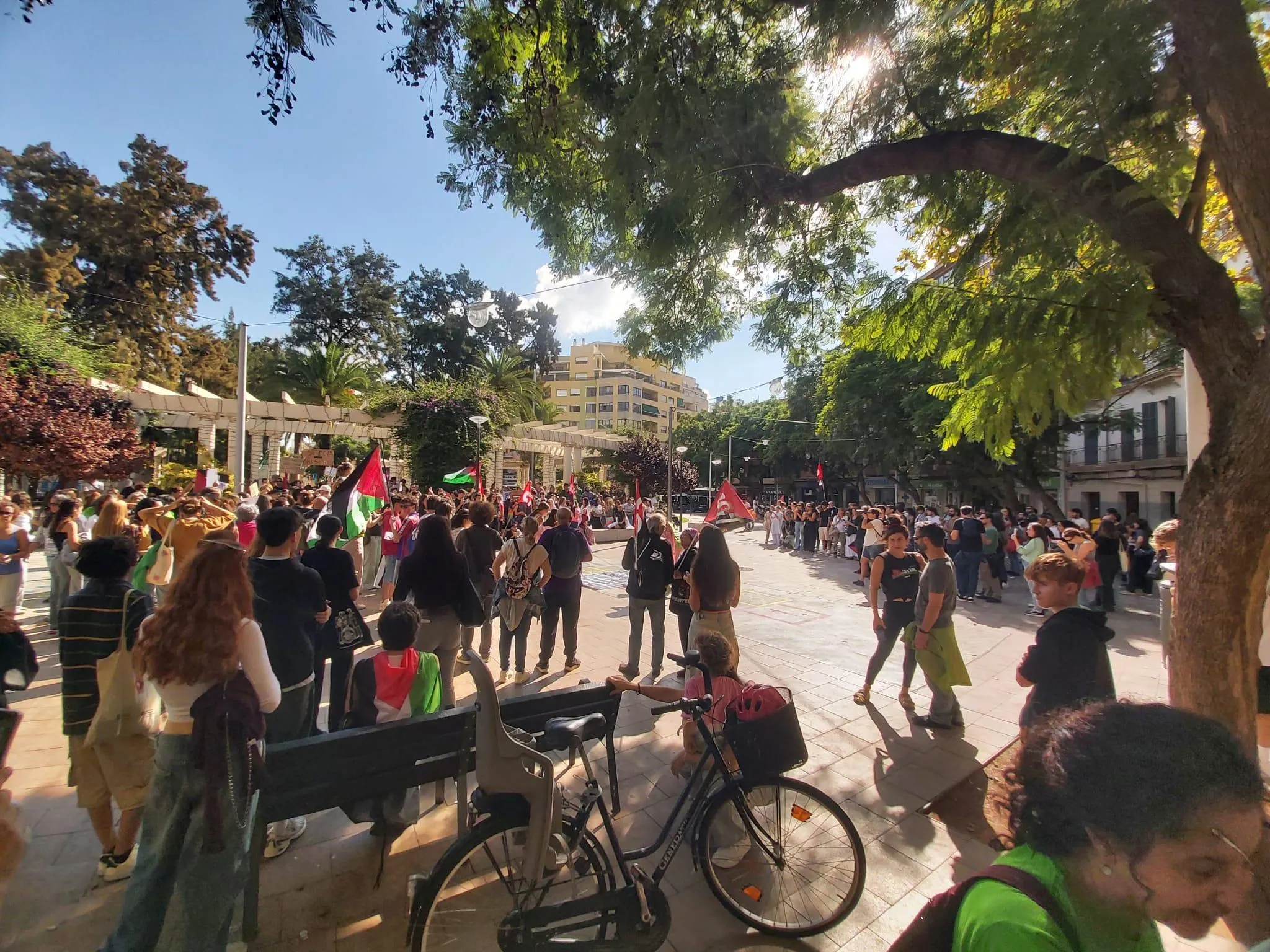 Protestaktion für Palästina: Mallorcas Arbeitswelt zeigt nur wenig Interesse