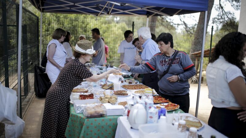 30 Jahre Tierschutz: SOS Animal auf Mallorca feiert Jubiläum mit Tag der offenen Tür