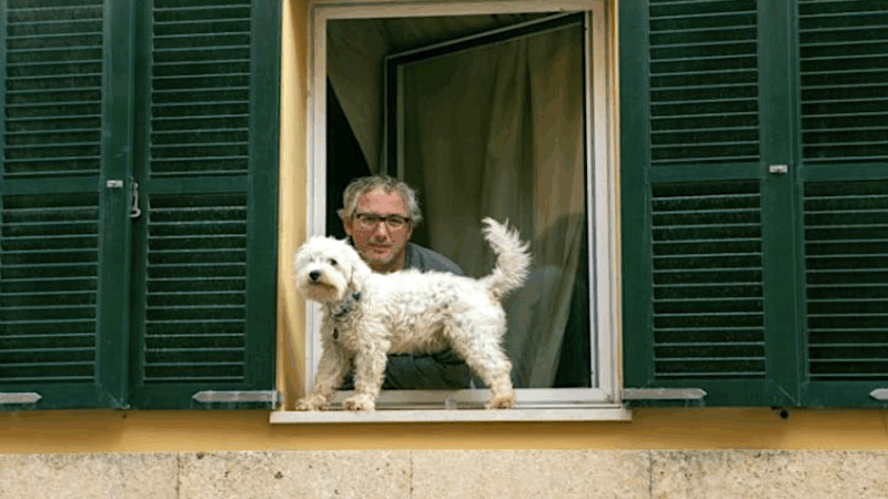 „Zum Wohle des Tierschutzes“: Mallorca-Gemeinde beschränkt Zahl der Haustiere