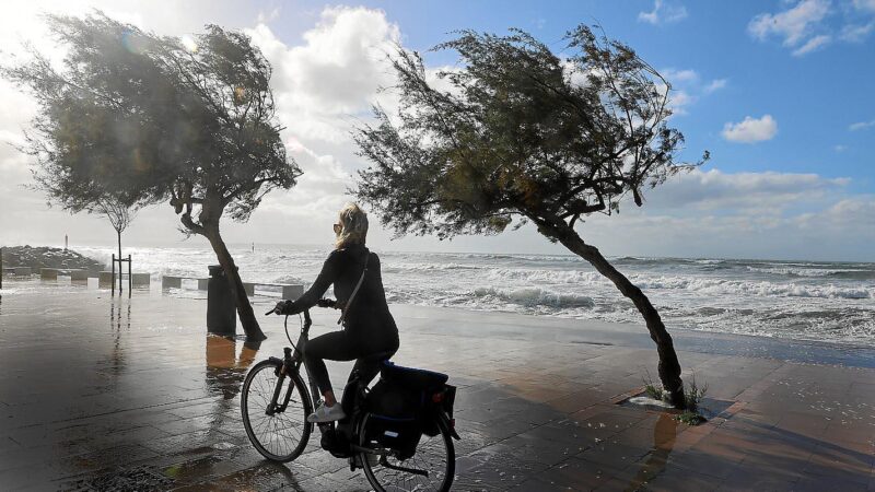 Warnstufe Gelb für Mallorca! Stürmischer Wind auf dem Weg zur Insel