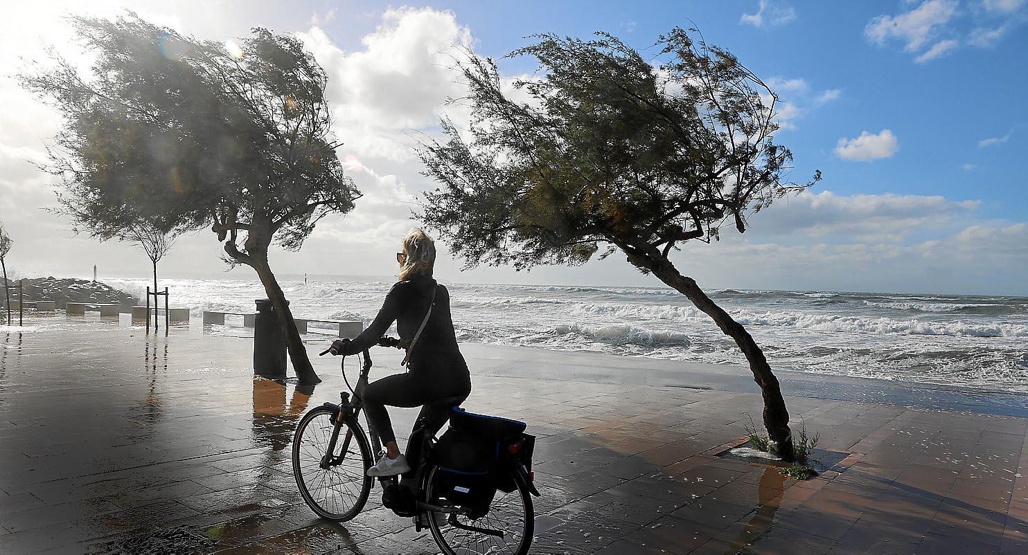 Warnstufe Gelb für Mallorca! Stürmischer Wind auf dem Weg zur Insel