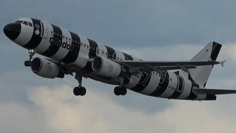 Von wegen bunt! Warum die Mallorca-Airline Condor jetzt einen Schwarz-Weiß-Flieger hat