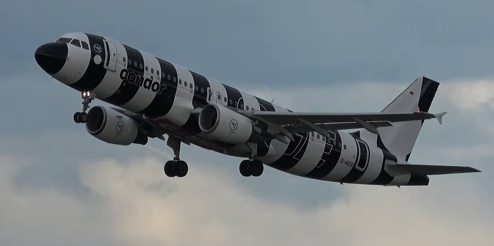 Von wegen bunt! Warum die Mallorca-Airline Condor jetzt einen Schwarz-Weiß-Flieger hat