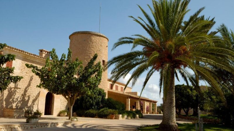 An Traumstränden und auf dem Lande: Diese drei nagelneuen Edelhotels erwarten Besucher auf Mallorca