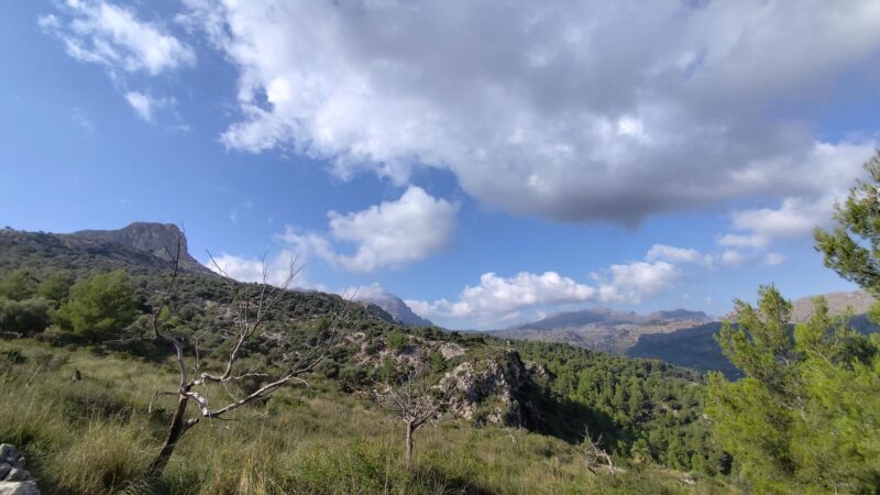 Die wunderbare Tramuntana: Genießen Sie Traumblicke bei dieser leichten Wanderung!
