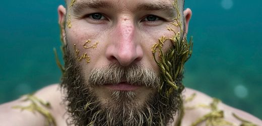 Kinderbuch »Aali muss los« erzählt vom Mythos Aal