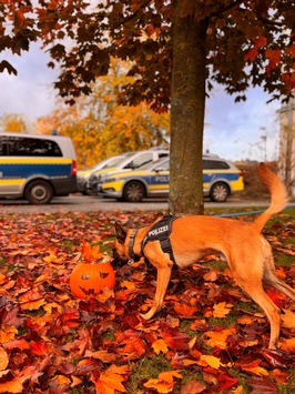 POL-KI: 251024.1 Kiel / Kreis Plön: Die Halloween-Zeit beginnt – sichere und gruselige Tipps
