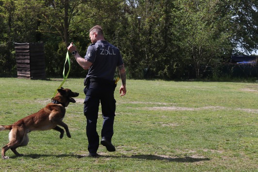 HZA-P: Zollhund Ego lässt Cannabisschmuggel am Flughafen BER auffliegen / Zoll entdeckt knapp 16 Kilogramm Cannabis bei der Einreise aus New York