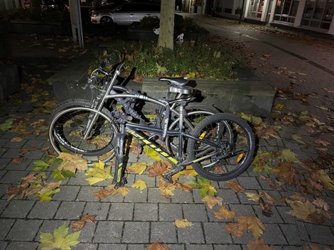 POL-PDWIL: verdächtiger Sachverhalt, möglicher Diebstahl