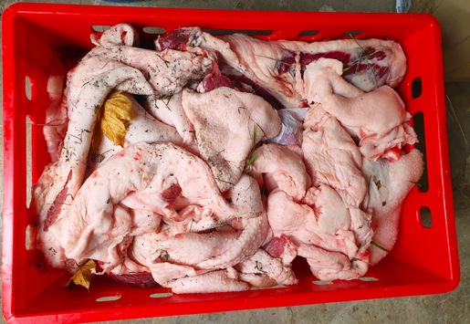 LPI-NDH: Fleischkisten und Scheinekämme suchen ihren Besitzer