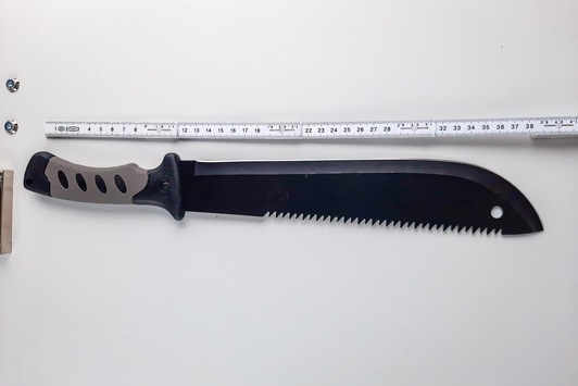 BPOL-HRO: Machete am Rostocker Hauptbahnhof beschlagnahmt
