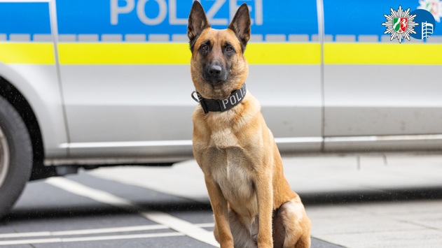 POL-OB: Schlägerei im Königshütter Park – Polizeipräsenz verhindert Schlimmeres