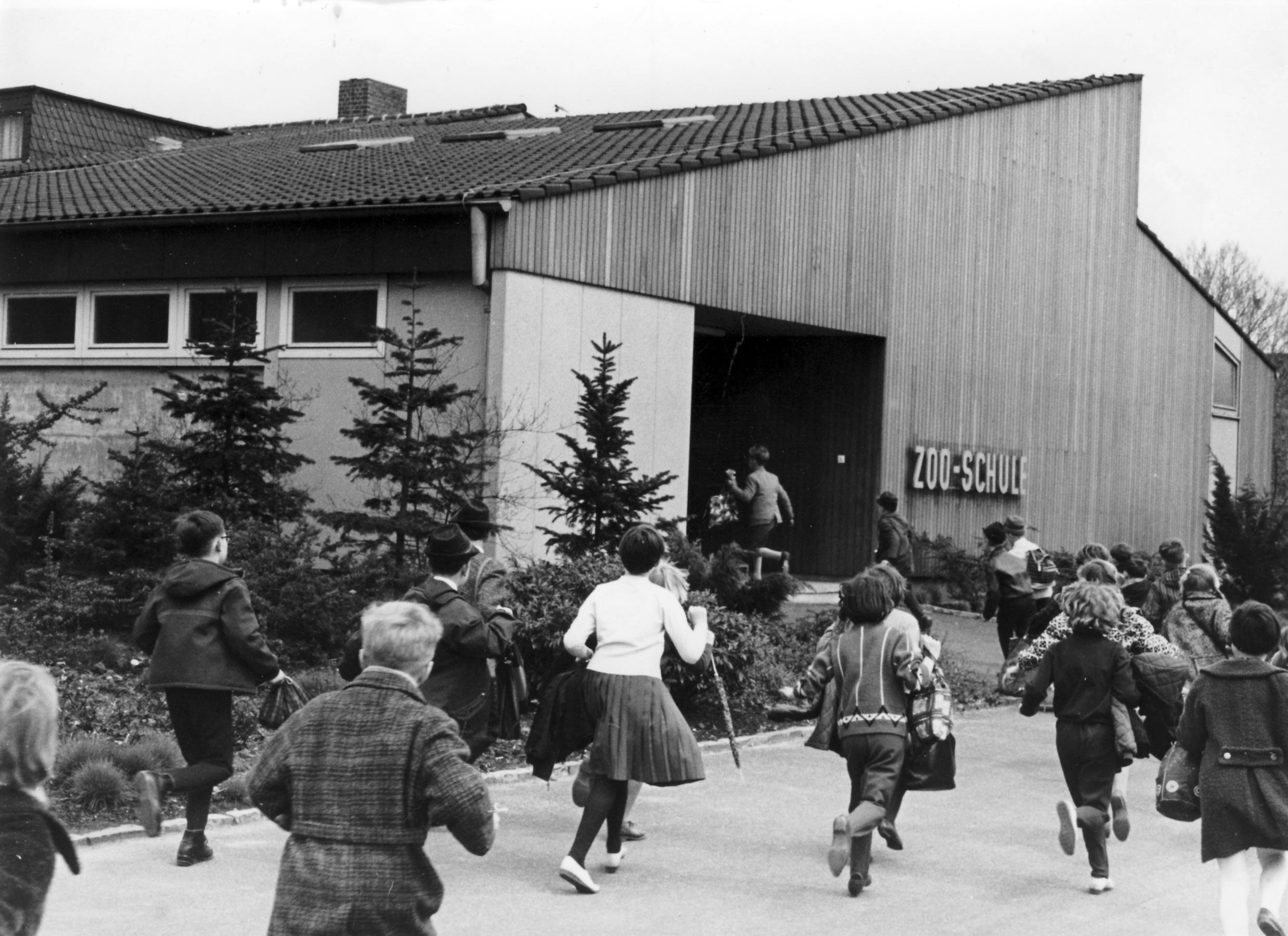 Zoo-Geschichten: In Köln entstand die erste Zooschule Europas