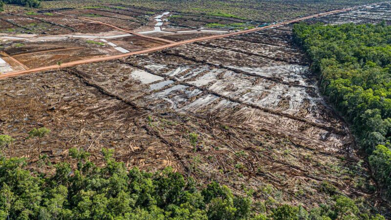 Studie: Welt hinkt beim Klimaschutz hinterher