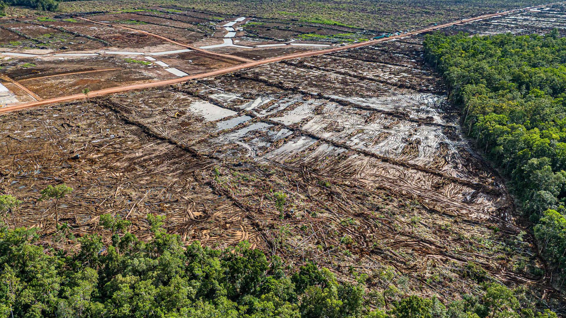 Studie: Welt hinkt beim Klimaschutz hinterher