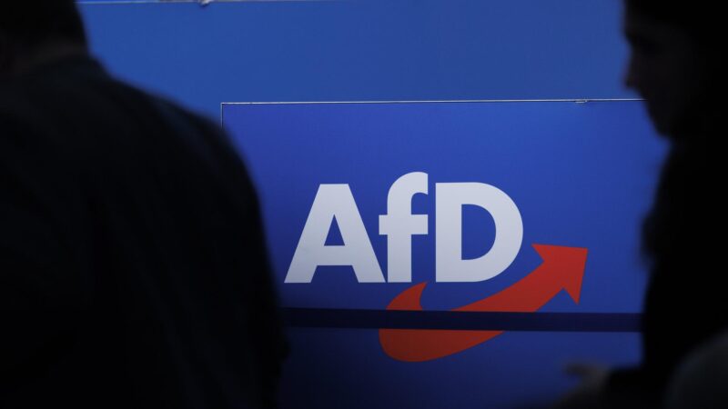 AfD klagt auf Rückgabe von Millionenspende