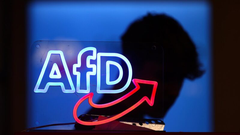 „Generation Deutschland“: Wie sich die neue AfD-Jugend aufstellt