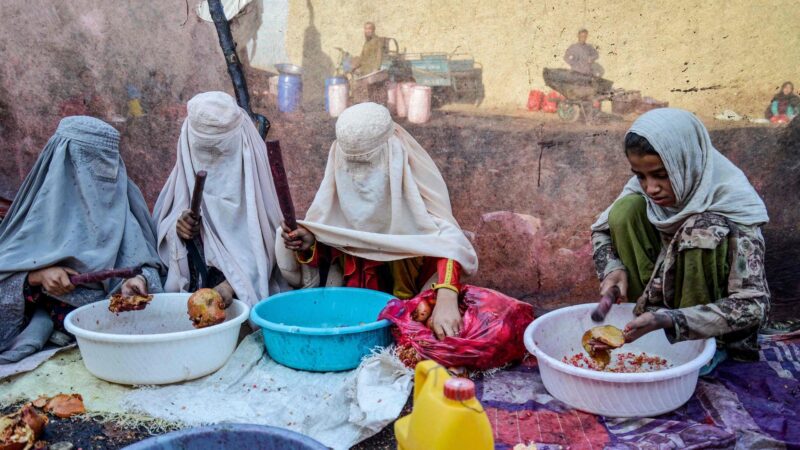 Afghanistan: Bildung für Afghaninnen – oder leere Versprechen?