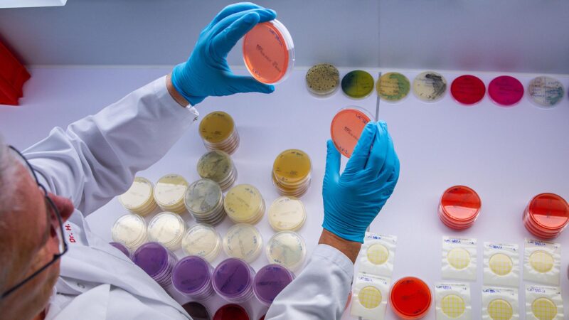 Warum Antibiotikaresistenzen die Gesundheit gefährden