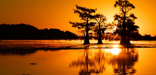 James Lee Burke: Die verzweifelte Sehnsucht nach einem besseren Amerika