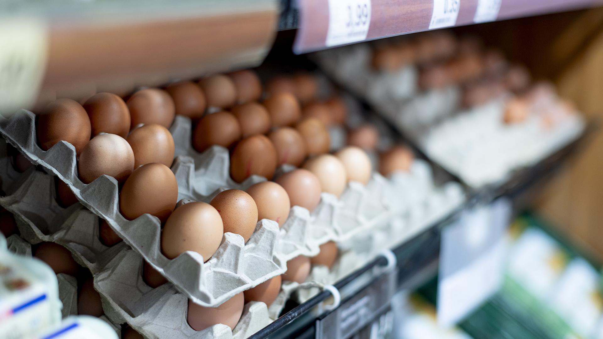 Was bedeutet die Ausbreitung der Vogelgrippe für die Verbraucher?