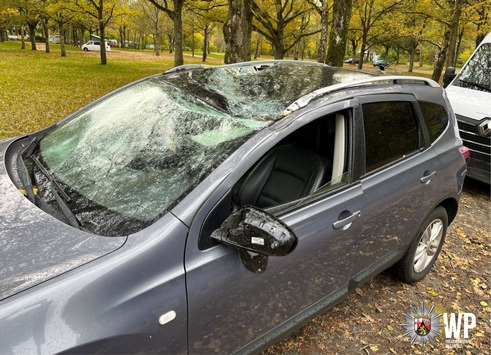 POL-PDKL: Baum stürzt auf Fahrzeugdach