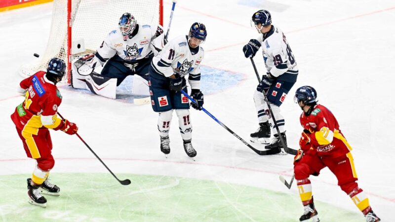 DEL2: Kassel Huskies kassieren erste Niederlage, Bad Nauheim siegt
