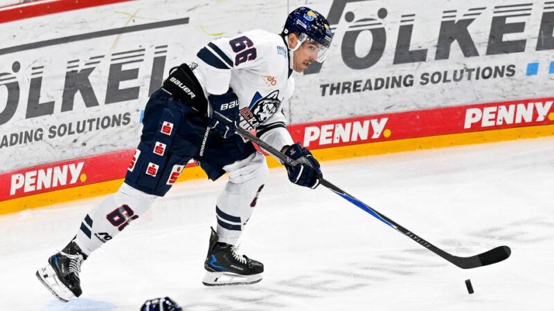 Saisonstart der Kassel Huskies in der DEL2 verläuft nahezu perfekt