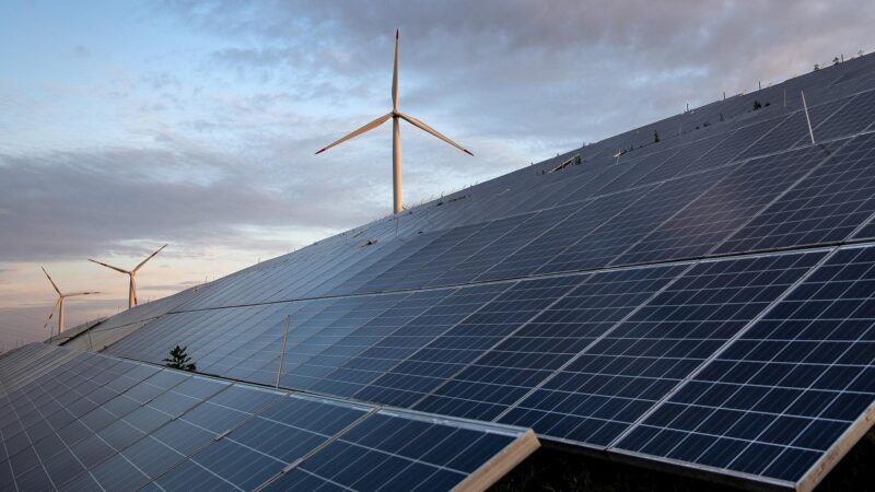 Wissenschaftler fordern ehrgeizigen EU-Klimaschutzplan