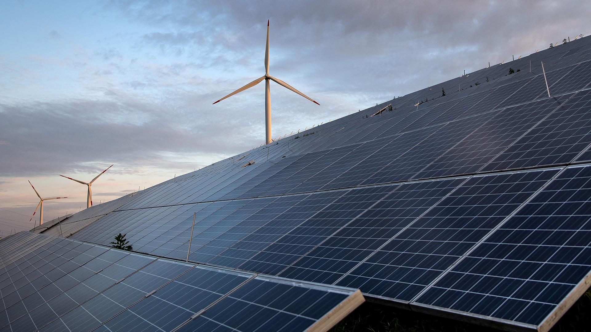 Wissenschaftler fordern ehrgeizigen EU-Klimaschutzplan