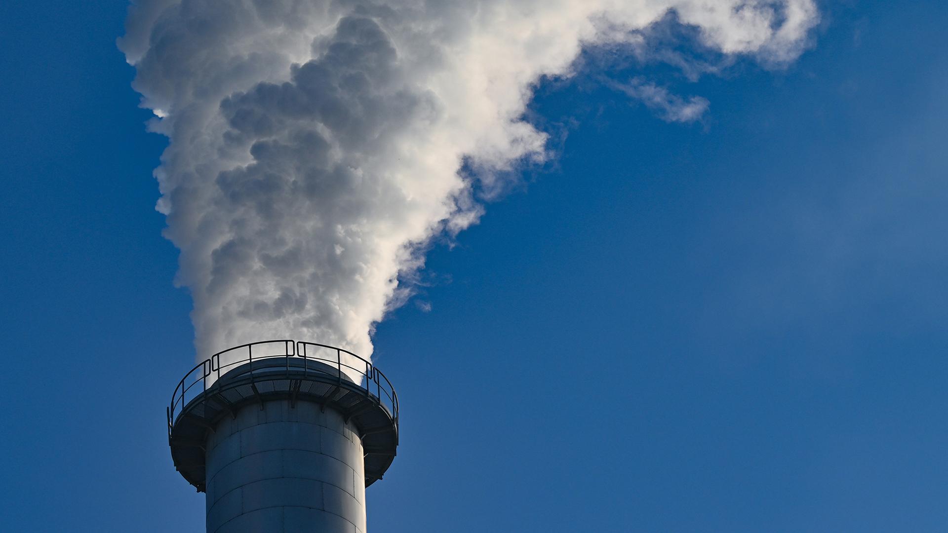 Experte: Die wenigsten Länder haben vor der COP ihre Klimaziele festgelegt