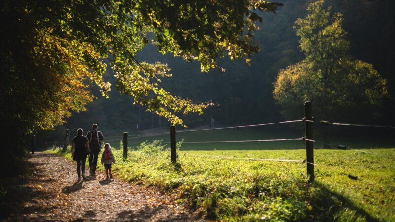 Lebenszufriedenheit der Deutschen: Stimmung nach Corona hellt sich auf