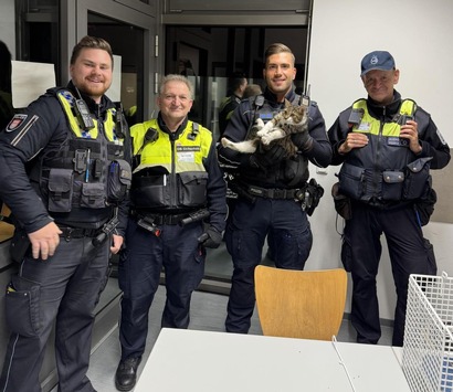 BPOL-HH: Katze im Hamburger Hauptbahnhof ganz alleine unterwegs – Bundespolizei übergibt Katze an Tierheim