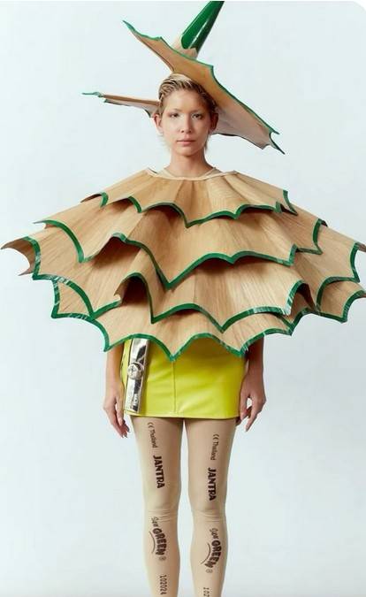 Karnevalsbeginn 2025/26: Keine Lust mehr auf Cowboy? Ideen für ausgefallene Karnevalskostüme