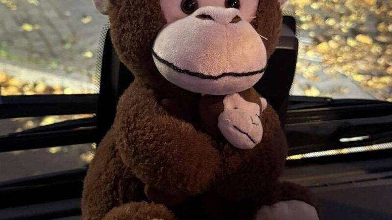 Busfahrerin „rettet“ Plüschaffen in Hilden: „Ich weiß, wie traurig Kinder sind, wenn sie ihr Kuscheltier verlieren“