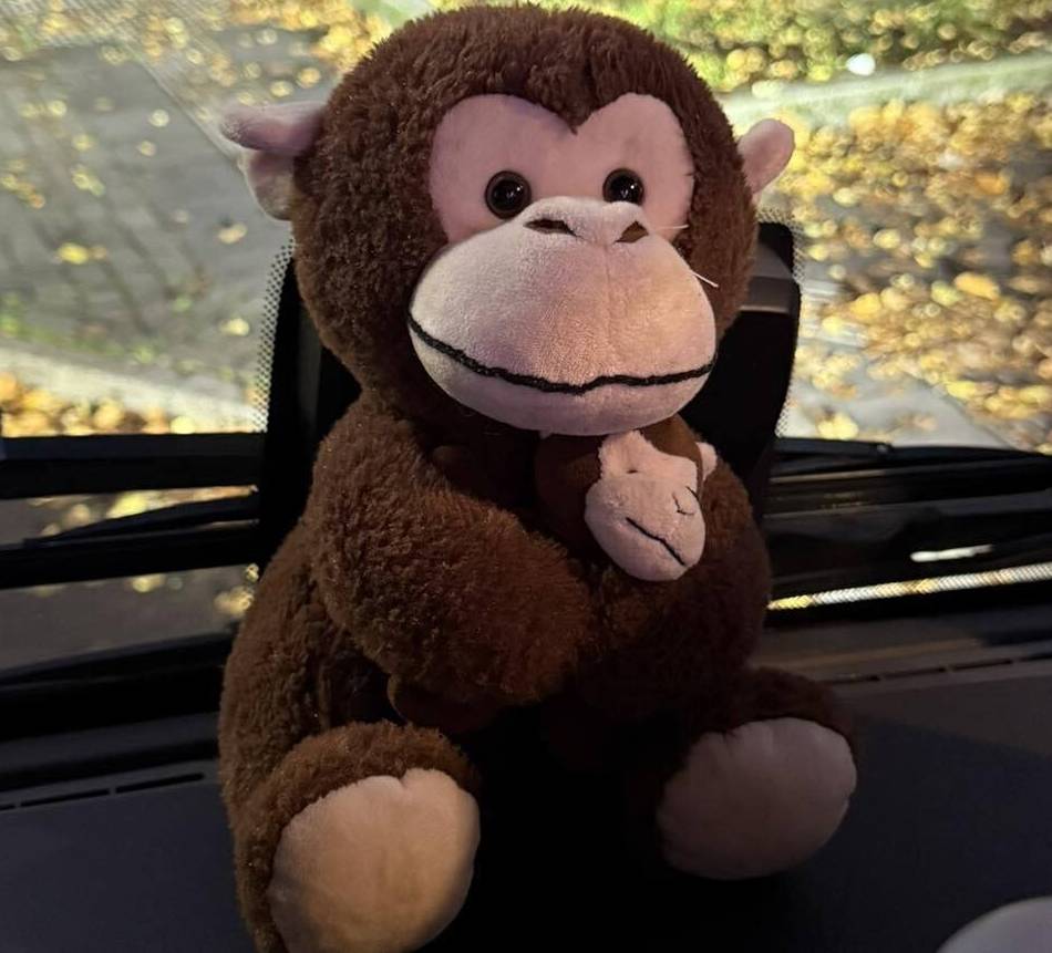 Busfahrerin „rettet“ Plüschaffen in Hilden: „Ich weiß, wie traurig Kinder sind, wenn sie ihr Kuscheltier verlieren“