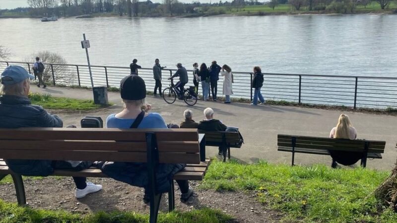 Stadtmöblierung in Düsseldorf: Sitzbänke sollen ergänzt und versetzt werden
