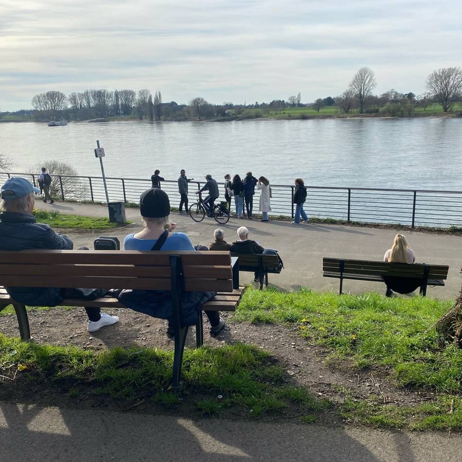 Stadtmöblierung in Düsseldorf: Sitzbänke sollen ergänzt und versetzt werden