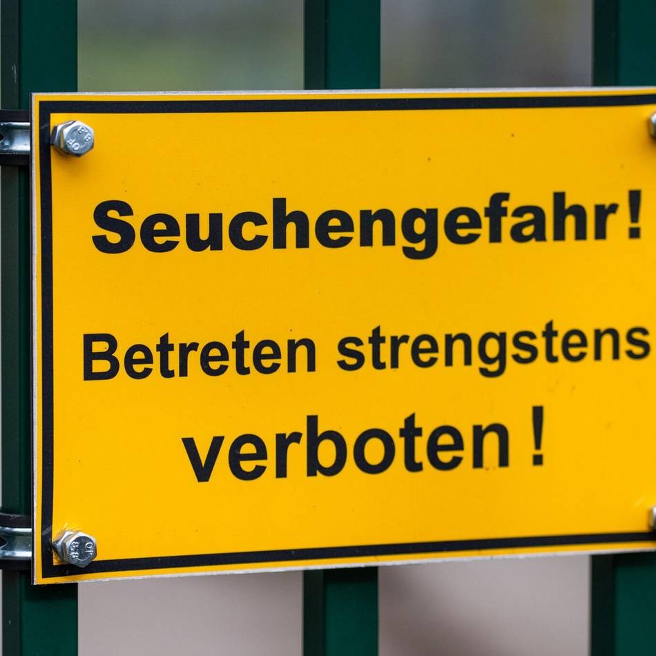 Verdacht auf H5-Virus bestätigt: Geflügelpest-Ausbruch in Kamp-Lintfort vermutet