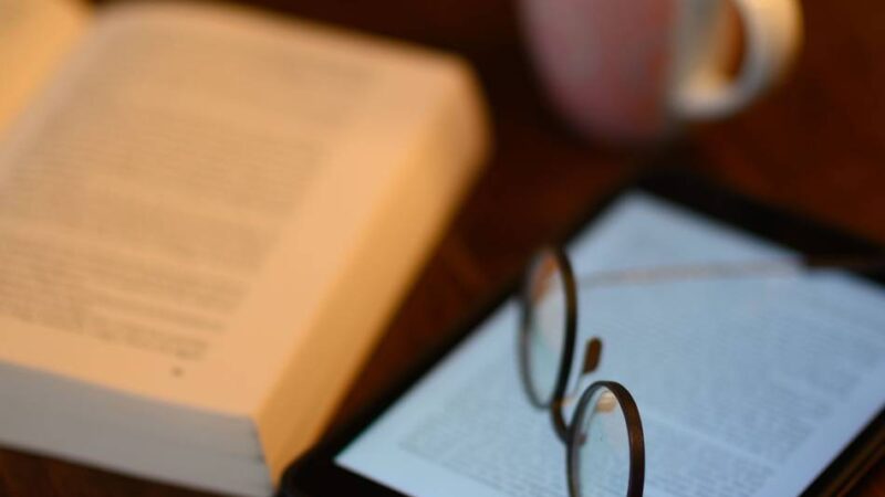 Literatur: Mord und Serienkiller: Wieso wir uns für Thriller begeistern