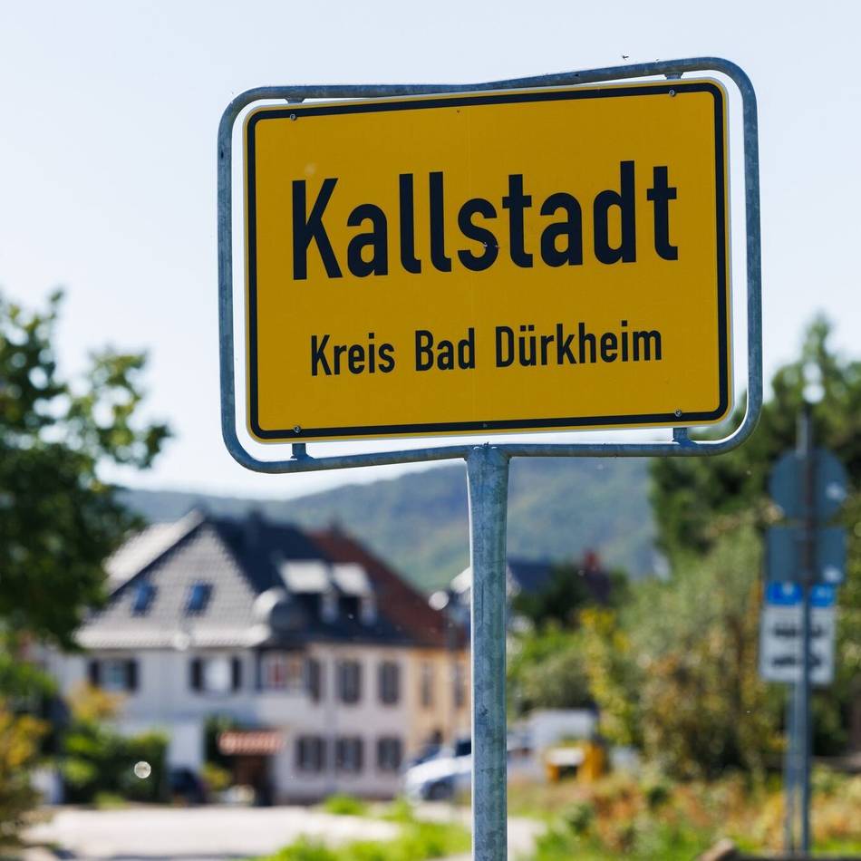 Antrag im Kreistag: AfD will Trump zum Ehrenbürger von Bad Dürkheim machen