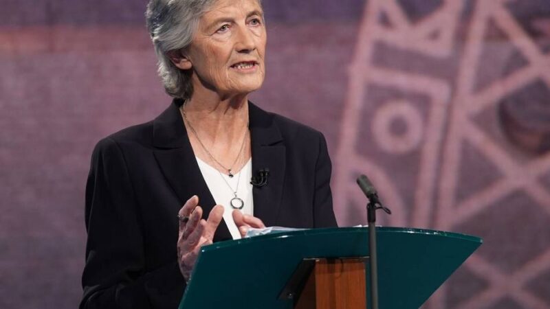 Keine männlichen Kandidaten: Iren wählen neue Präsidentin – Bob Geldof und Conor McGregor hatten keine Chance