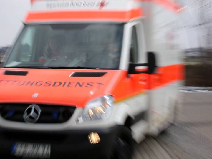 POL-SZ: Pressemitteilung der Polizeiinspektion SZ/PE/WF vom 21.11.2025