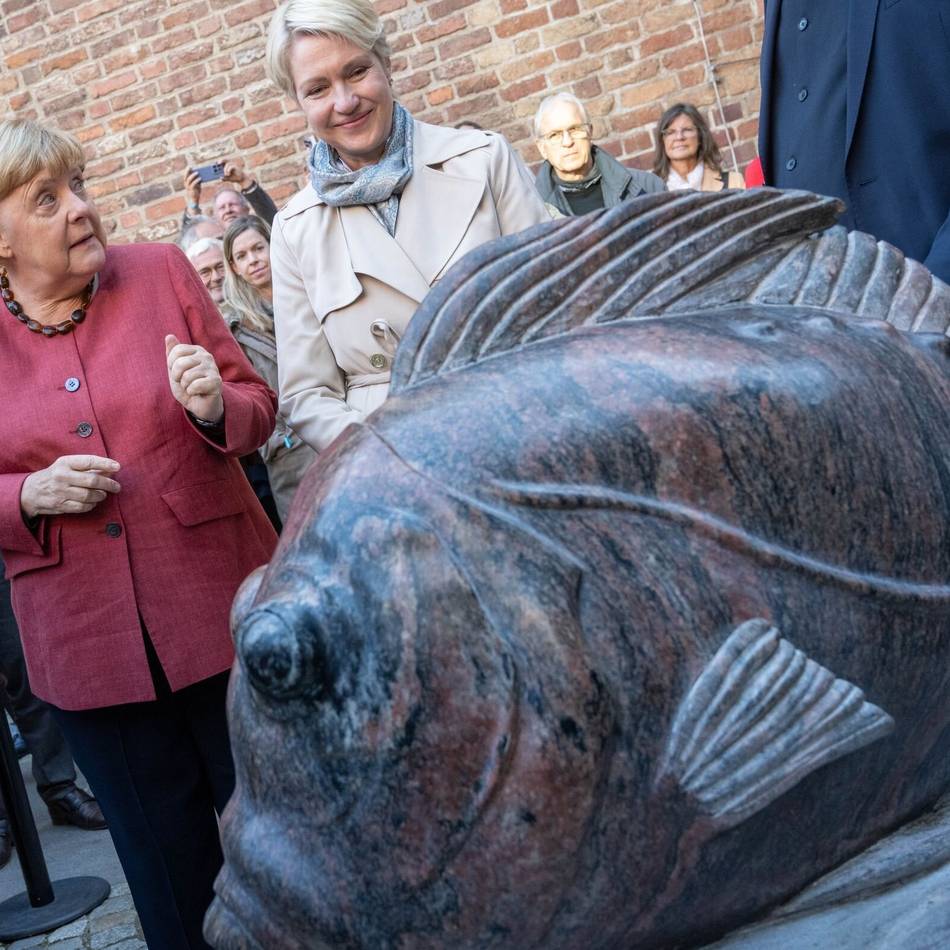 Landtagswahlen 2026: Wie die AfD im Nordosten die SPD überholt hat