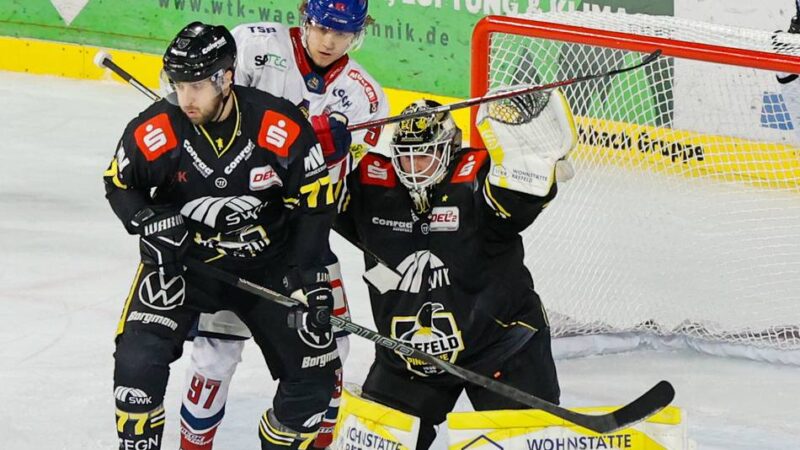 Beim Heimsieg gegen Freiburg: Wie die Krefeld Pinguine Trainer Popiesch beeindruckt haben